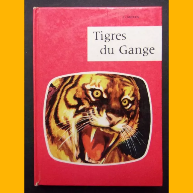 Collection "J" TIGRES DU GANGE Luigi Motta Cattaneo 1959