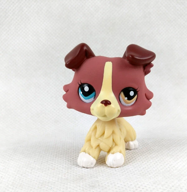 Littlest Pet Shop Collie Dog 2 Different Color Eye Plum Cream Rare LPS #1262