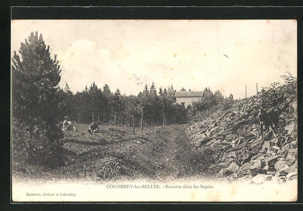 CPA Colombey-les-Belles, Barriére dans les Sapins 1904