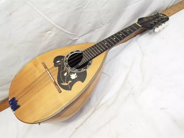 Kent mandolin deals