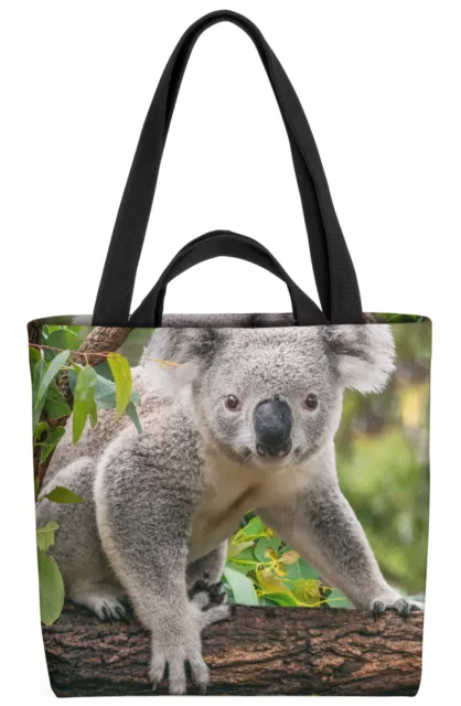 Koala Tasche Foto Tier Park Zoo Koalabär Bär Baum Eukalyptus Australien Urwald