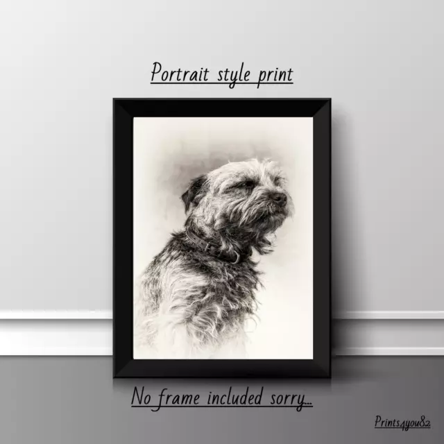Border Terrier A4 Print Picture Poster Wall Art Home Decor Unframed New Gift