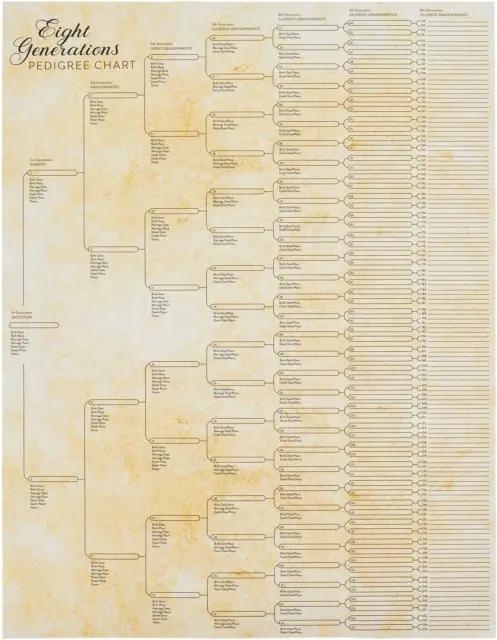 15 Pack Family Tree Charts to Fill in - Blank 8 Generation Genealogy Poster for