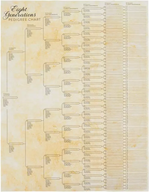 15 Pack Family Tree Charts to Fill in - Blank 8 Generation Genealogy Poster for