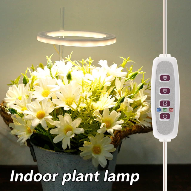 20LEDS -Pflanzenanbau leichter LED Wachsen leichter USB -Antriebs mofez