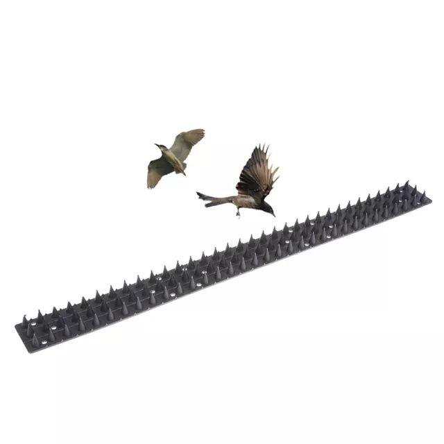 Plastic Bird Spike Wall Fence Spikes Yard Bird Spikes For Anti Climbing UK Sb