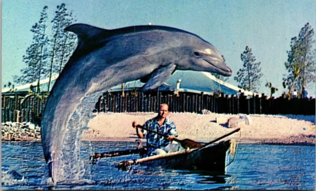 Fisherman Sea World Lagoon Bottlenose Dolphin Animal Boat UNP Vintage Postcard