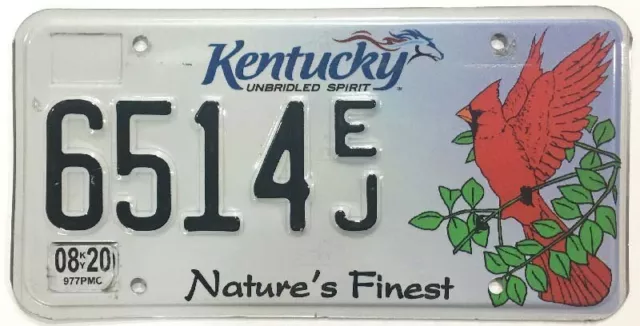 Kentucky 2020 Nature's Finest Cardinal Bird Wildlife Specialty License Plate
