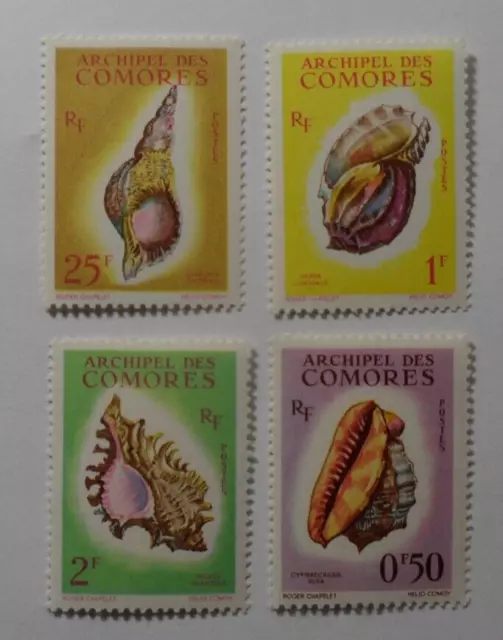 STAMPMART : FRANCE COMORES 1962 SHELLS FAUNA 4v MNH STAMPS