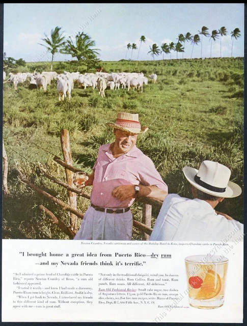 1959 Charolais cattle cow herd photo Puerto Rico Rum vintage print ad