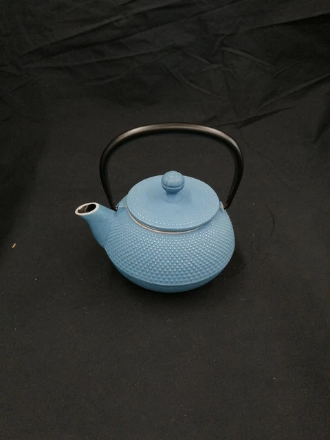 Unknown Nambu Ironware Teapot
