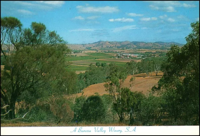 A3696 Australia SA Barossa Valley Winery postcard