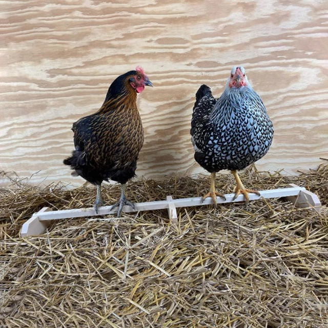 Jouet Ancien – Ferme Et Poulailler En Bois Peint Avec Animaux, Magasins Réunis Nancy