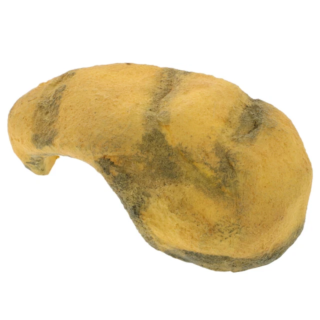 Piattaforma Per Tartarughe In Resina - Terrazzo Con Grotta, 25x19x9.5cm, Per Rettili