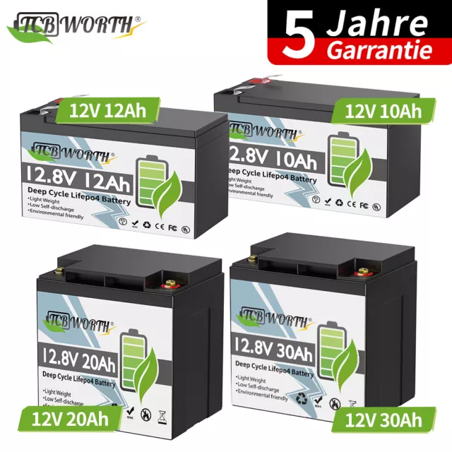 12V 10Ah 12Ah 20Ah 30Ah LiFePO4 Lithium Batterie Akku BMS Kinder-Quad&Wohnmobil