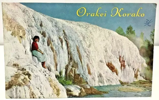 Vintage Orakei Korako New Zealand Travel Guide Book Photo Images Park 1960s