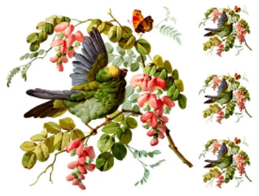 Vintage Image Victorian Bird On Flower Tree Branch Waterslide Decals BIR853
