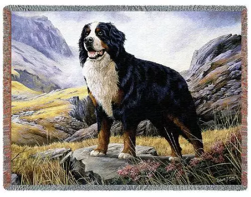 Throw Tapestry Afghan - Bernese Mountain Dog by Robert May 1935 IN STOCK