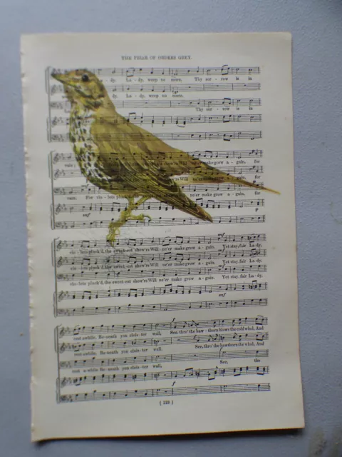 Fiche musicale vintage imprimée image d'oiseau, art mural, antique, muguet de brouillard