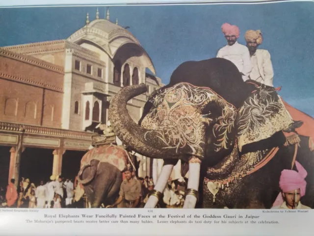 Rajasthan India Article Original Vtg 1948 Nat Geographic Nice Pics! Rajputana
