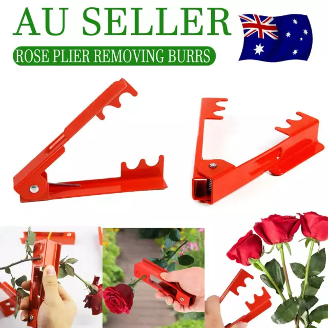 Metal Holly Remover Gardening Rose Stem Flower Floristry Stripper Thorn Leaf AU