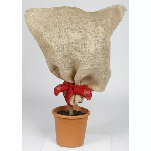 Bolso Protectora de Yute 57x78cm Beige Natural Jardín Capa para Plantas,