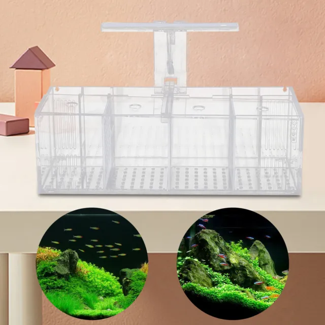 LED Light Aquarium Acrylic 4 Grids Betta Fish Tank Isolation Box with Pump US 13
