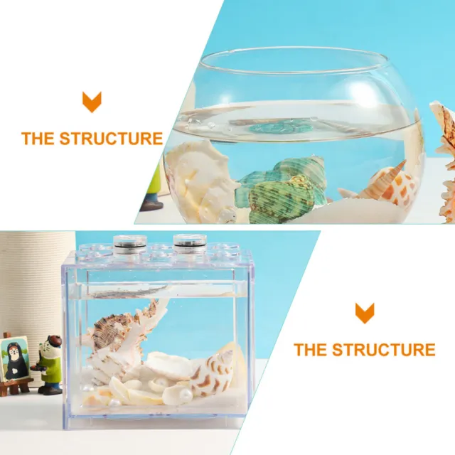3 Sets Shell Decor for Landscape Creative Conch Mixed Beach Fish Tank Fairy