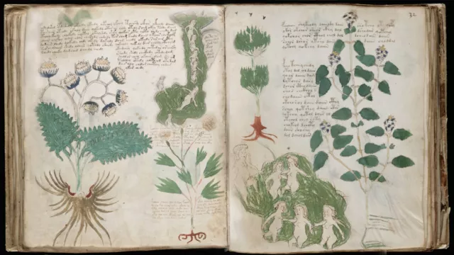 The Voynich Manuscript On Usb - Mysterious Medieval Book Secret Language Occult