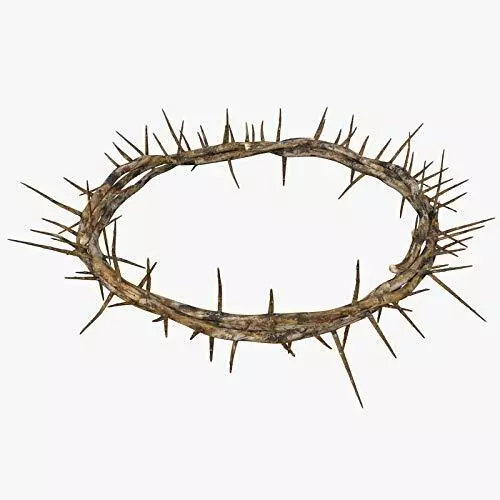 Authentic Crown of Thorns- Real Life Size