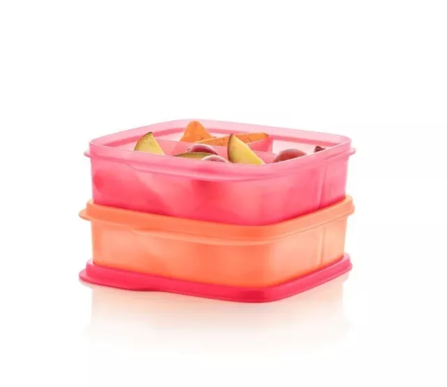 Tupperware Eco Lunch It Divided Container Set of  2 New