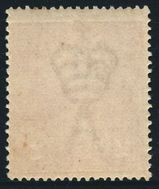 1920 2d orange KGV head, single wmk, BW95, MUH (SW031) 2