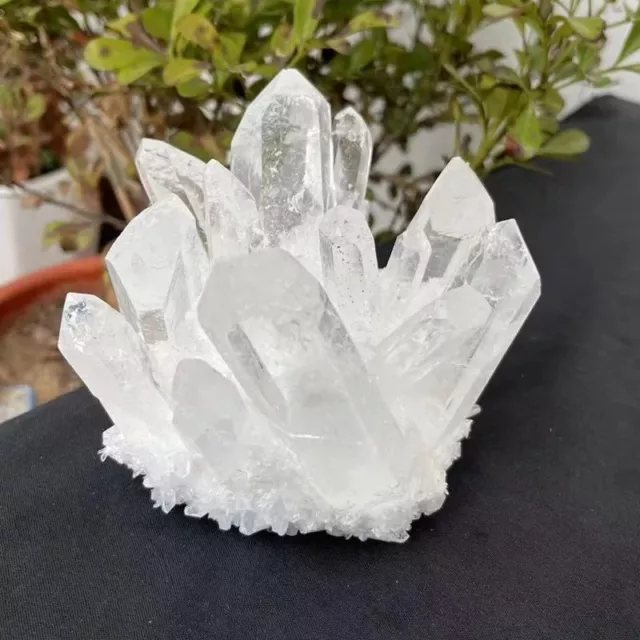 150g Natural White Clear Quartz Chakra Reiki Crystal Cluster Gemstone Specimen 2