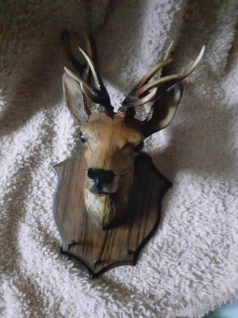 Taxidermie murale cornes et bois de cerf Cabine - En vente sur France