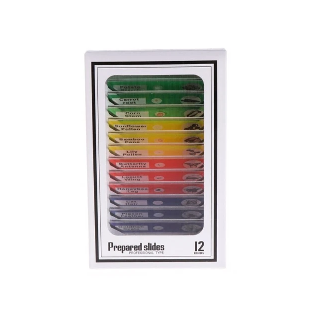 For Kids Plastic Prepared Microscope Slides  Biological Specimens Sample