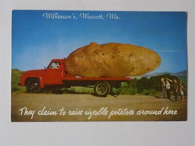 Wascott, Wisconsin WI ~ Wilkinson's Potato EXAGGERATION L701