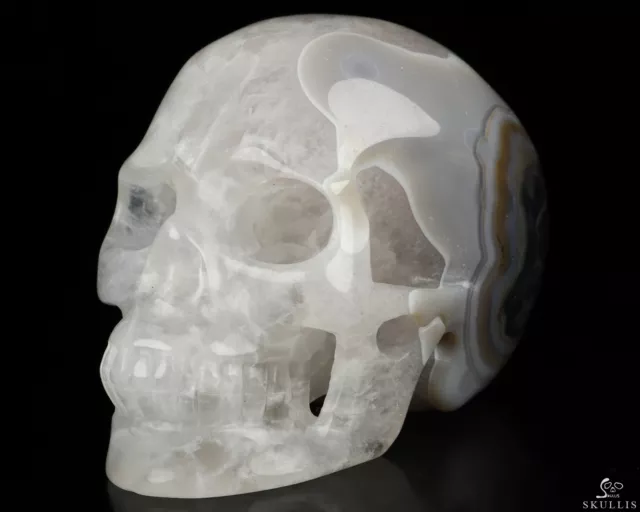 4.1" Gray & White Agate Hand Carved Crystal Skull, Realistic, Crystal Healing