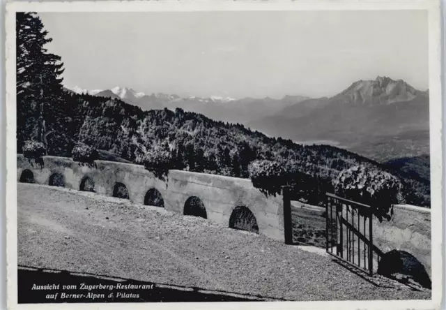 50553881 - Zugerberg Blick vom Zugerberg Restaurant, Berner Alpen Zug ZG