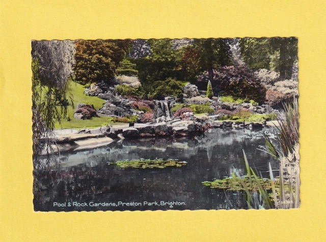 Brighton , Preston Park - Sussex    ( Tr58)