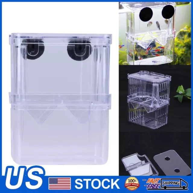 Acrylic Fish Breeding Isolation Box Incubator For Fish Tank(L)