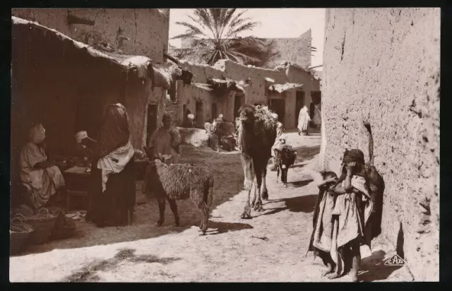 AK von einer Arabischen mit Kamel und Esel Dorfstraße Afrika (676)