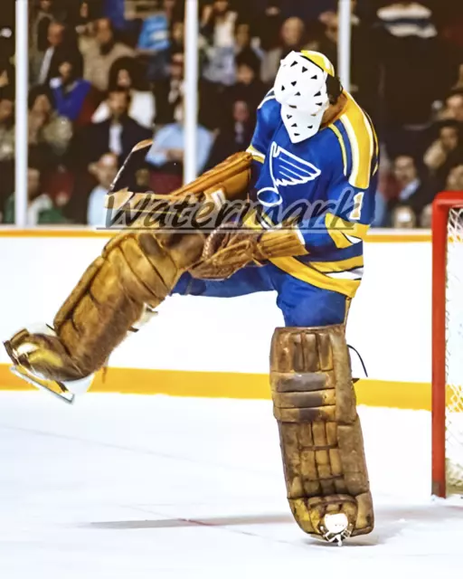 NHL Toronto Maple Leafs Goalie Mike Palmateer Game Action Color 8 X 10  Photo