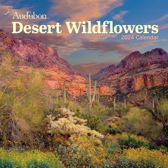 AUDUBON DESERT WILDFLOWERS Wall Calendar 2024 A Visual Delight for