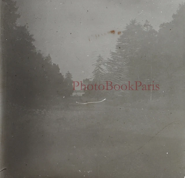 Forêt Paysage c1920 Photo Plaque de verre Stereo Vintage V17T13n