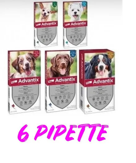 Advantix 6 Pipette -Tutte Le Taglie - Lunga Scadenza Antiparassitario