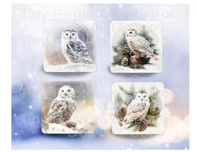 Owl themed neoprene drink coasters, set of 4, CHOICE, absorbent, Birds, gifts