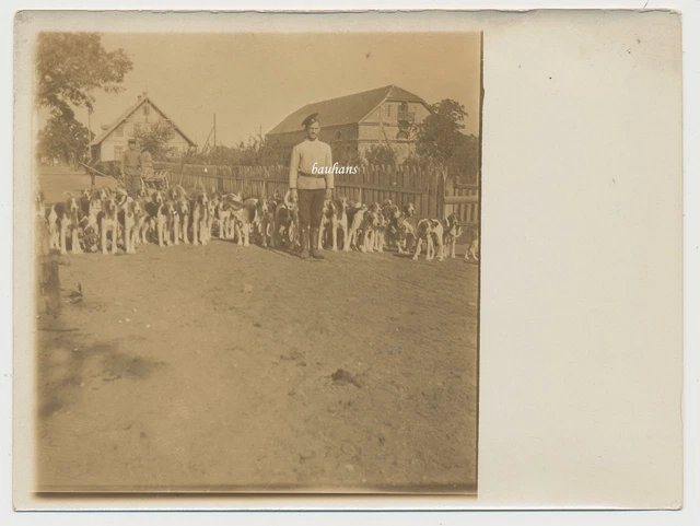 Foto Soldat mit  Hund Dog  1.WK  (9957)