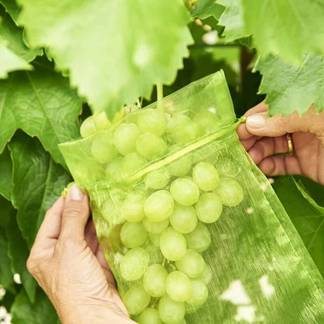 Fruit Protection Bags Garden Netting Strawberry Bags Mesh Grapes Bag Grow Bags