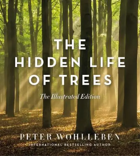 Peter Wohlleben The Hidden Life of Trees (Relié) David Suzuki Institute