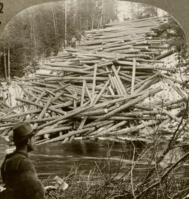 Keystone Stereoview Logging, Aroostook County, Maine 600/1200 Card Set #1182 T1